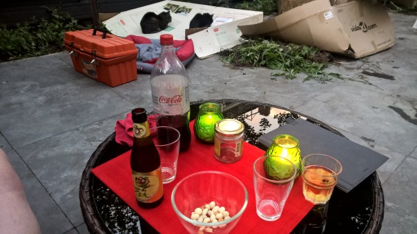 WP_20160604_21_38_52_Pro