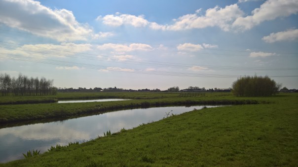 WP_20170408_16_03_13_Rich