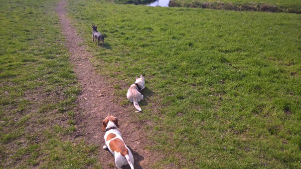 WP_20170408_16_06_32_Rich