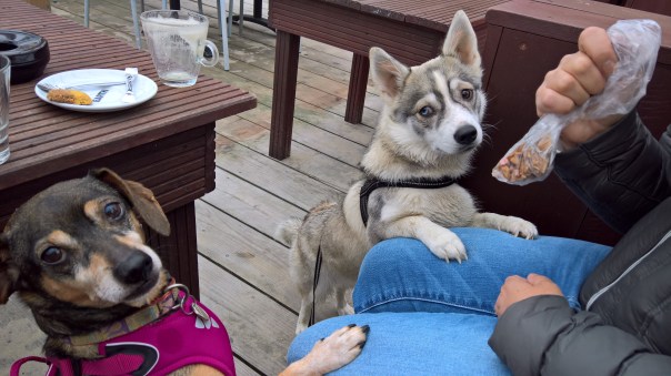 WP_20171001_13_28_38_Rich