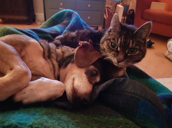 WhatsApp Image 2018-03-03 at 10.21.38