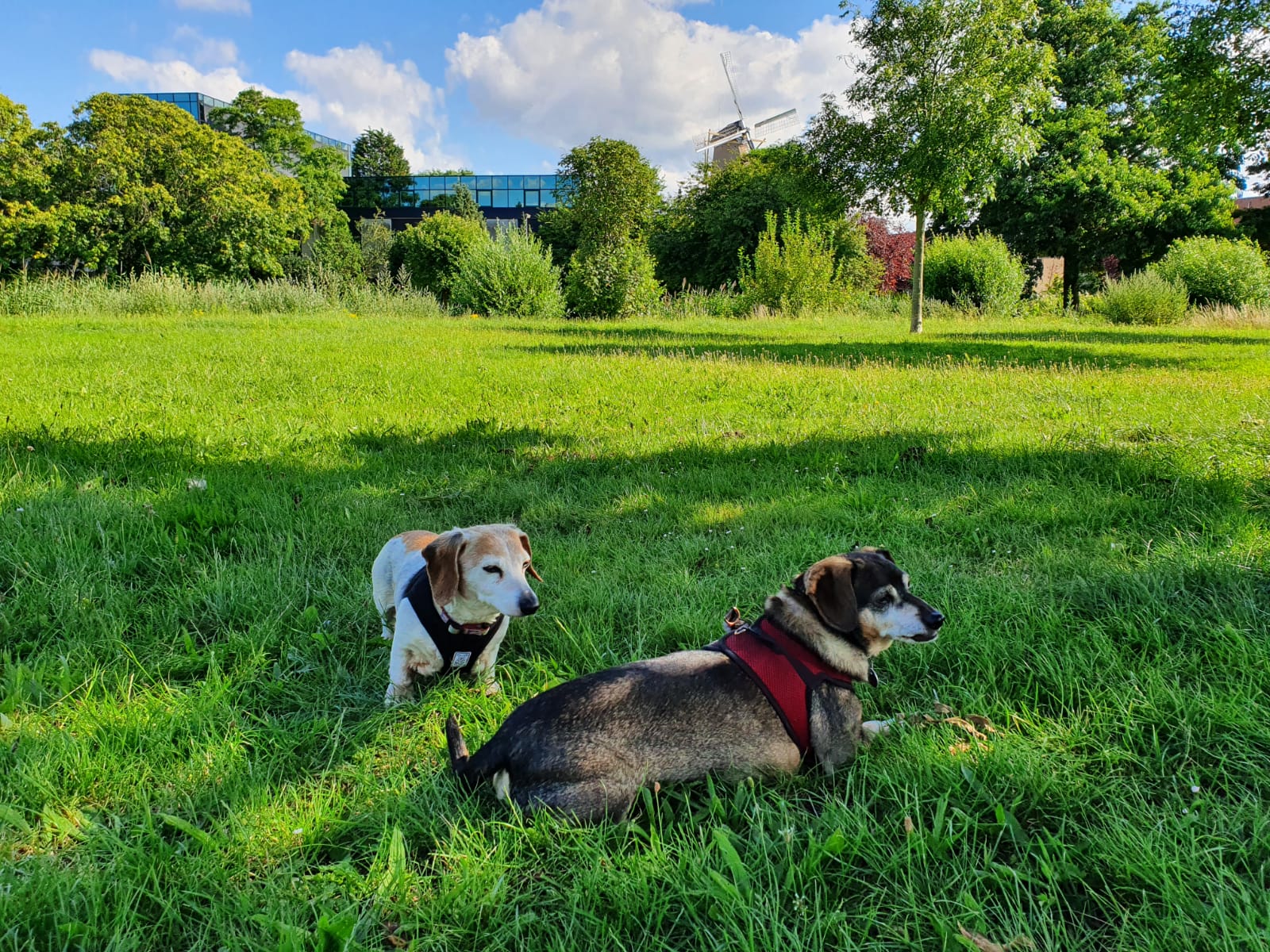 H&amp;G taking a break